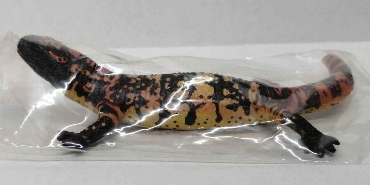 Amazon.co.jp: アメリカドクトカゲ 原色爬虫類トカゲ図鑑 ドクトカゲ